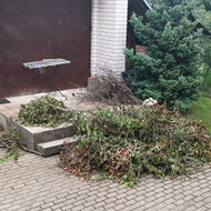 Šakų išvežimas