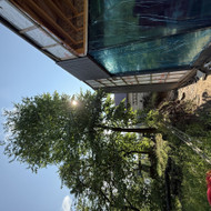 Arboristas Dvarčionyse