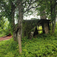Šiukšlių išvežimas