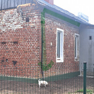 Lietvamzdžiai