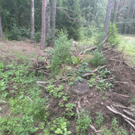 Kelmų išvežimas