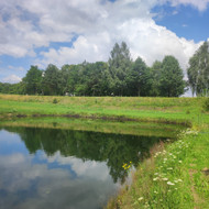 Kiemo, aplinkos apželdinimas