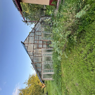 Šiltnamio griovimas