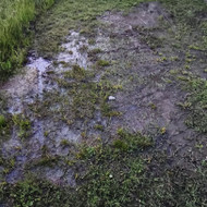 Reikia sutvarkyti lauko vandentiekį