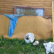 Siuksliu isvezimas alytus sb,,berzelis,,kaniukai