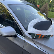 Automobilio veidrodėlio dangtelio dažymas