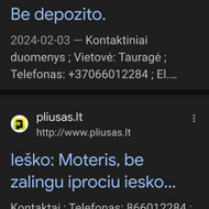 Programuotojai