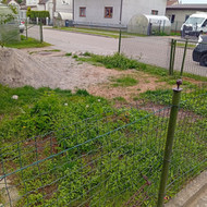Reikia nukasti velėnos ir išlyginti su žviru