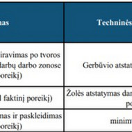 Sklypo sutvarkymas