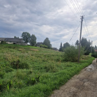 Vejos priežiūra