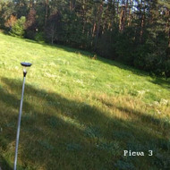 Žolės pjovimas