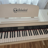 Muzikos instrumentų meistrai