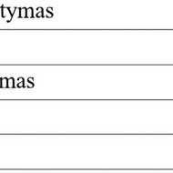 Sienų, grindų glaistymas,dažymas