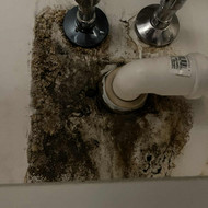Pakeisti Schell ventilį