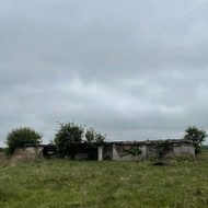 Griovimo