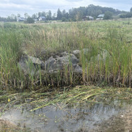 Akmenį suskaldyti