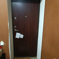 Vidaus durys (1 vnt)