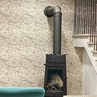 Patikrinti židinį ir pravalyti kaminą