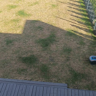 Vejos velėnos ,nuėmimas ,velėnos išvežimas