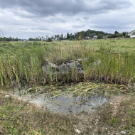 Suskaldyti akmenį