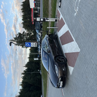 Ratlankių dažymas