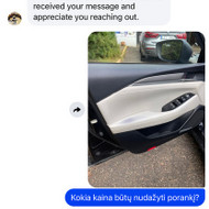 Automobilių poliravimas, priežiūra