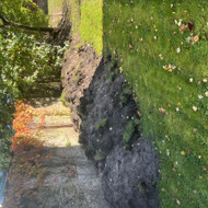 Tolygiai paskleisti apie 15 m³ žemės