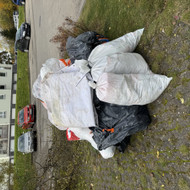 Siuksliu isvezimas Vilniuje, Grigiskes