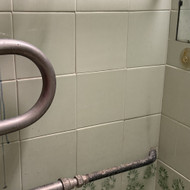 Senos statybos Lazdynų bute gyvatuko perkėlimas+