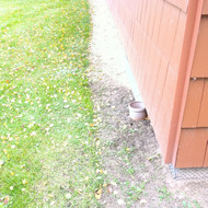 Reikia sudėti trinkeles aplink namą 80 kw