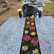 Skilo kapo plokštė