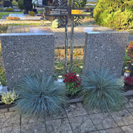 Kapų tvarkymas, priežiūra