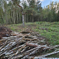 Šakų, medienos atliekų išvežimas