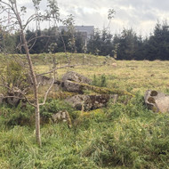 Statybinių atliekų išvežimas