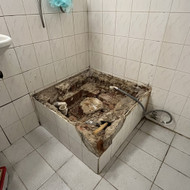 Griovimas / Santechnika