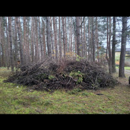 Žaliųjų atliekų išvežimas