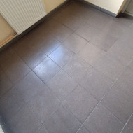 Laiptinės plytelių generalinis valymas (atšveitimas)