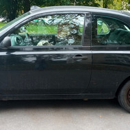 Kokį auto norite parduoti?