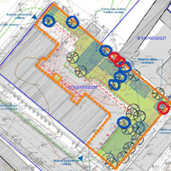 Medžių genėjimas, medžių kirtimas