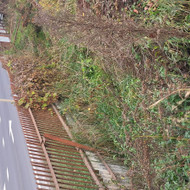 Tvoros pamatai, betonavimas