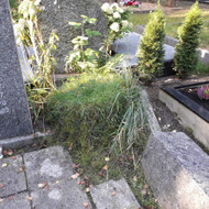 Kapavietės renovacija, restauravimas