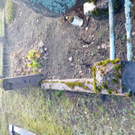 Kapu tvoreles betonavimas