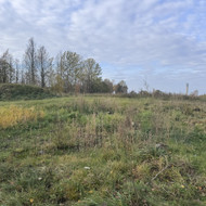 Ekskavatoriaus, Kalvarijai, Jusevičių k.