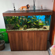 Reikalingas akvariumo pervežimas Kaune