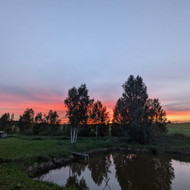 Reikalinga tvenkinio tvarkymo ir plėtimo paslauga