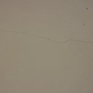 Ieškau kas sutinkuotų sienas