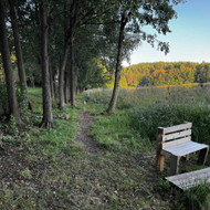 Ežero pakrantės valymas