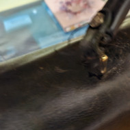 Noriu suremontuoti nuplyšusią odinio portfelio rankeną