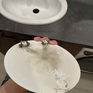 Ventiliacijos pelėsio valymas