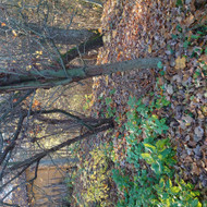 Sklypo dalies tvarkymas